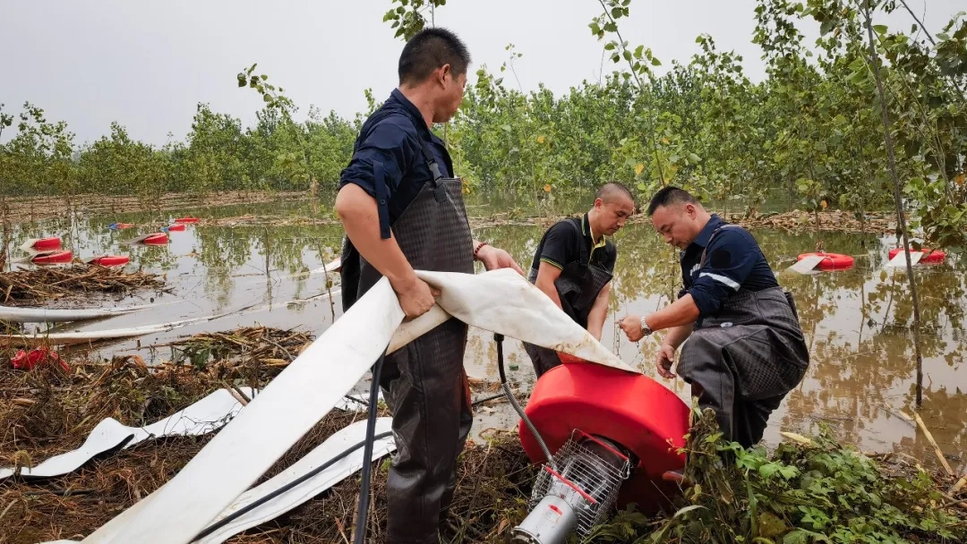 【救援先鋒】俯身勞作不言多的孺子?！?jiǎng)詷?></div>
                                <div   id=